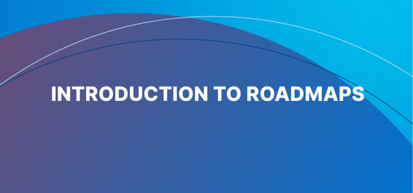An introduction to roadmaps